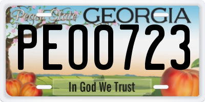 GA license plate PEO0723