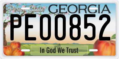 GA license plate PEO0852
