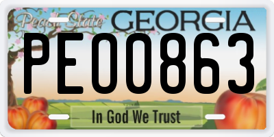 GA license plate PEO0863