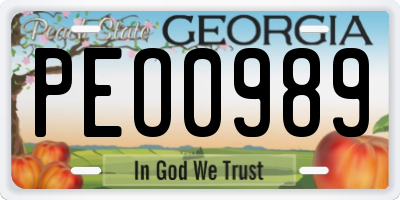 GA license plate PEO0989