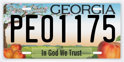 GA license plate PEO1175