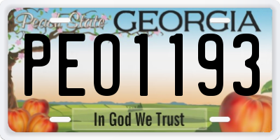 GA license plate PEO1193