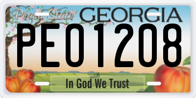 GA license plate PEO1208
