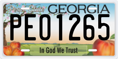 GA license plate PEO1265