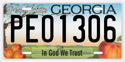 GA license plate PEO1306