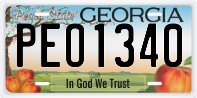 GA license plate PEO1340