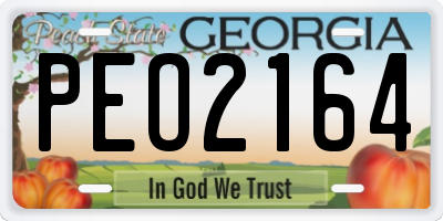 GA license plate PEO2164