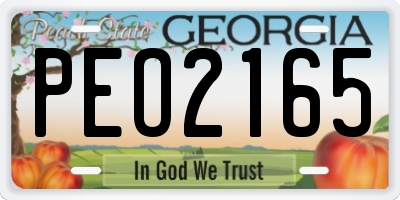 GA license plate PEO2165