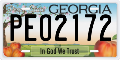 GA license plate PEO2172