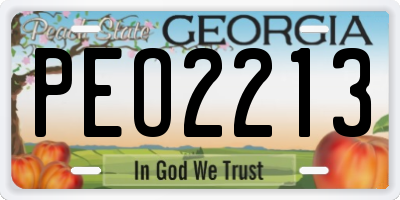 GA license plate PEO2213