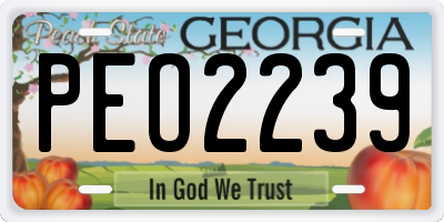GA license plate PEO2239