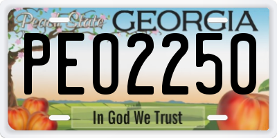 GA license plate PEO2250