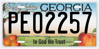 GA license plate PEO2257