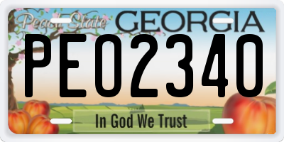 GA license plate PEO2340