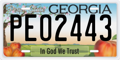 GA license plate PEO2443