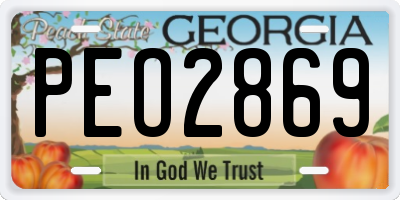 GA license plate PEO2869
