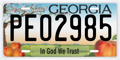 GA license plate PEO2985