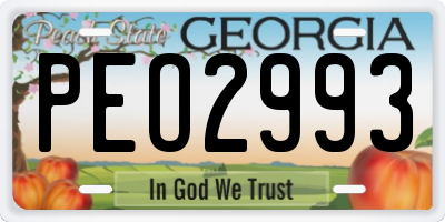 GA license plate PEO2993
