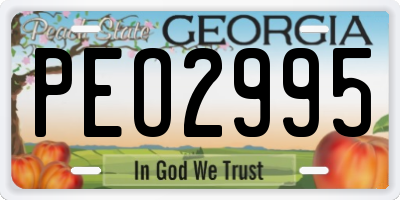 GA license plate PEO2995