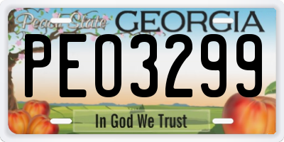 GA license plate PEO3299