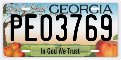 GA license plate PEO3769
