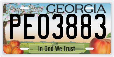 GA license plate PEO3883