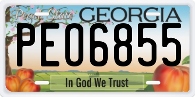 GA license plate PEO6855