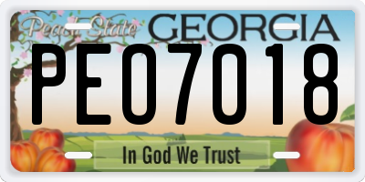 GA license plate PEO7018