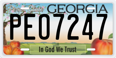 GA license plate PEO7247
