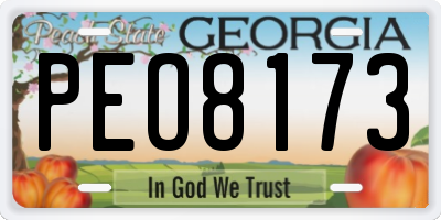 GA license plate PEO8173