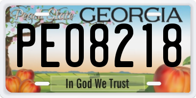 GA license plate PEO8218