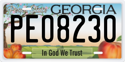 GA license plate PEO8230