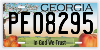 GA license plate PEO8295