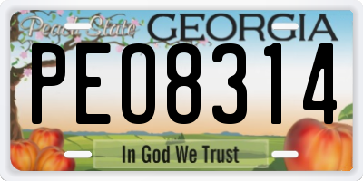 GA license plate PEO8314