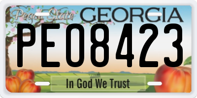 GA license plate PEO8423