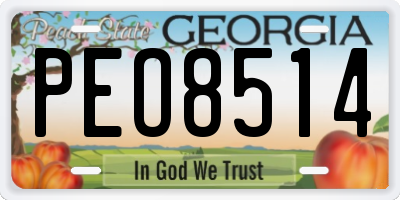 GA license plate PEO8514