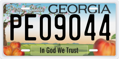 GA license plate PEO9044