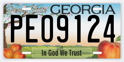 GA license plate PEO9124