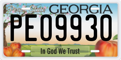 GA license plate PEO9930