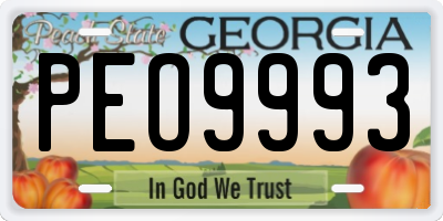 GA license plate PEO9993