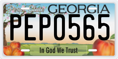 GA license plate PEP0565