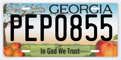 GA license plate PEP0855
