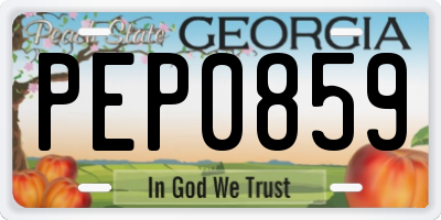 GA license plate PEP0859