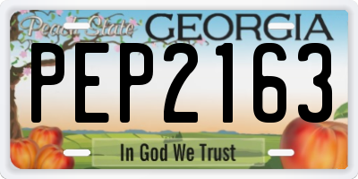 GA license plate PEP2163