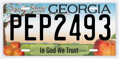 GA license plate PEP2493