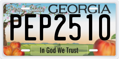 GA license plate PEP2510