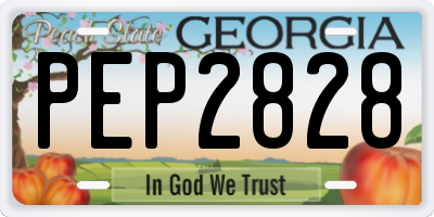 GA license plate PEP2828