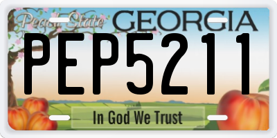 GA license plate PEP5211
