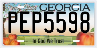 GA license plate PEP5598