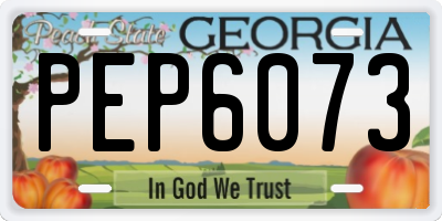 GA license plate PEP6073